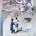 Owners of pet lion arrested after it jumped a wall and attacked a woman and two children in Pakistan